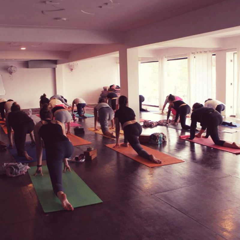 100 Hour Yoga Teacher Training in Rishikesh (Comprehensive Course)