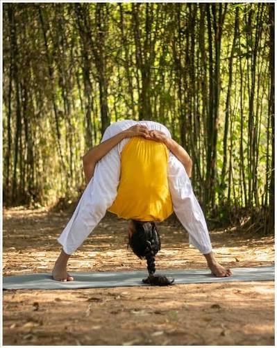 Sivananda Yoga: Exploring Its Traditional Approach to Mind and Body